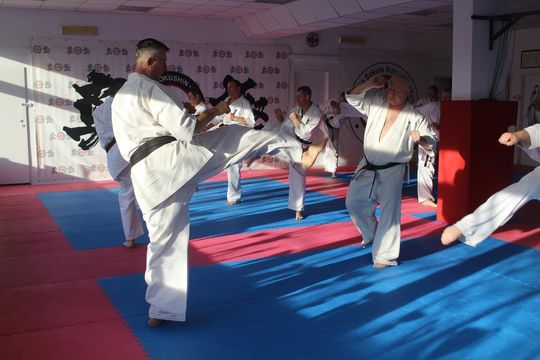 Sensei trenowali w dojo Satori [GALERIA ZDJĘĆ]