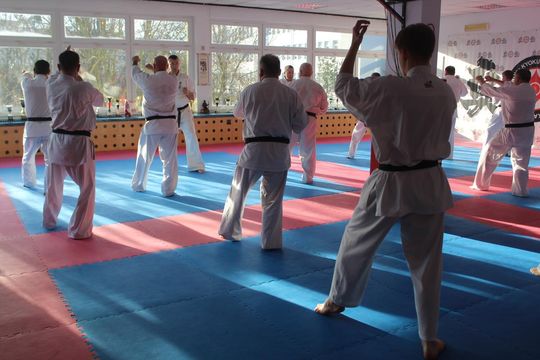 Sensei trenowali w dojo Satori [GALERIA ZDJĘĆ]