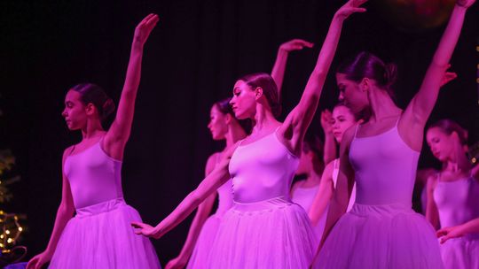 Chełm. KONCERT KOLĘD I PASTORAŁEK "POKÓJ NA ZIEMI" [GALERIA ZDJĘĆ]