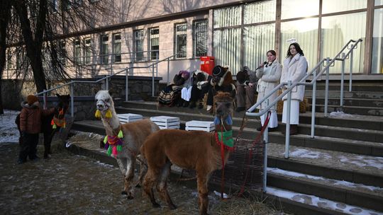 Orszak trzech króli przeszedł ulicami Włodawy [GALERIA ZDJĘĆ]