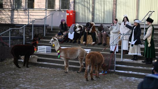 Orszak trzech króli przeszedł ulicami Włodawy [GALERIA ZDJĘĆ]