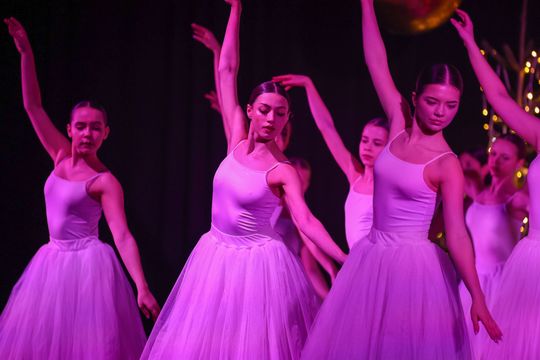 Chełm. KONCERT KOLĘD I PASTORAŁEK "POKÓJ NA ZIEMI" [GALERIA ZDJĘĆ]