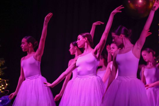 Chełm. KONCERT KOLĘD I PASTORAŁEK "POKÓJ NA ZIEMI" [GALERIA ZDJĘĆ]