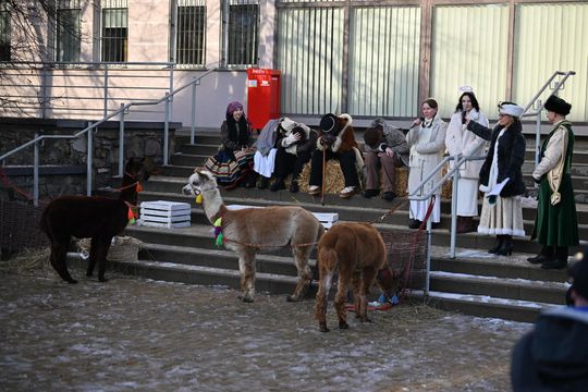 Orszak trzech króli przeszedł ulicami Włodawy [GALERIA ZDJĘĆ]