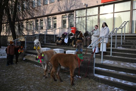 Orszak trzech króli przeszedł ulicami Włodawy [GALERIA ZDJĘĆ]