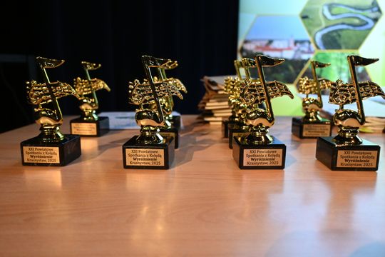 Pow. krasnostawski. XXI Powiatowe Spotkania z Kolędą „Pójdźmy wszyscy do stajenki” [GALERIA ZDJĘĆ]