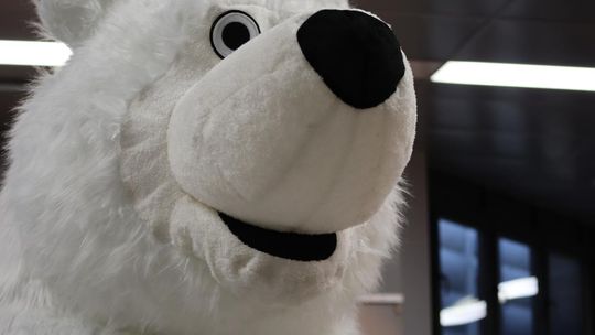 Chełm. WOŚP-owy Dzień Dziecka [GALERIA ZDJĘĆ]