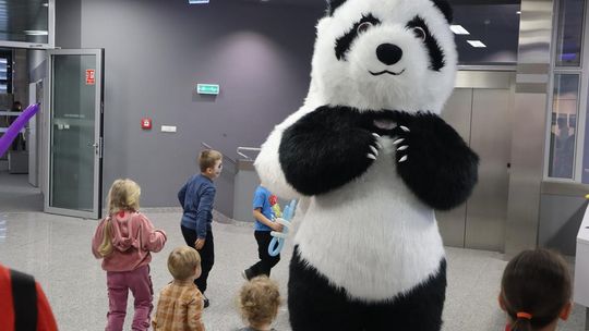 Chełm. WOŚP-owy Dzień Dziecka [GALERIA ZDJĘĆ]