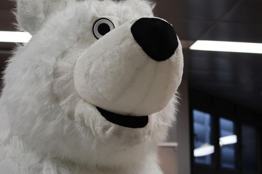 Chełm. WOŚP-owy Dzień Dziecka [GALERIA ZDJĘĆ]