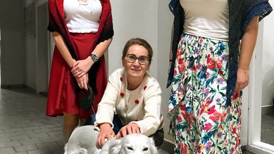 Chełm. W IV LO już zagrała Wielka Orkiestra Świątecznej Pomocy [GALERIA ZDJĘĆ]