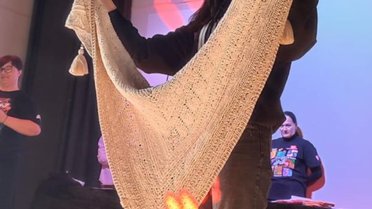 Chełm. W IV LO już zagrała Wielka Orkiestra Świątecznej Pomocy [GALERIA ZDJĘĆ]