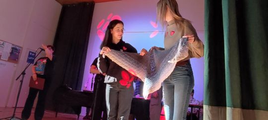 Chełm. W IV LO już zagrała Wielka Orkiestra Świątecznej Pomocy [GALERIA ZDJĘĆ]