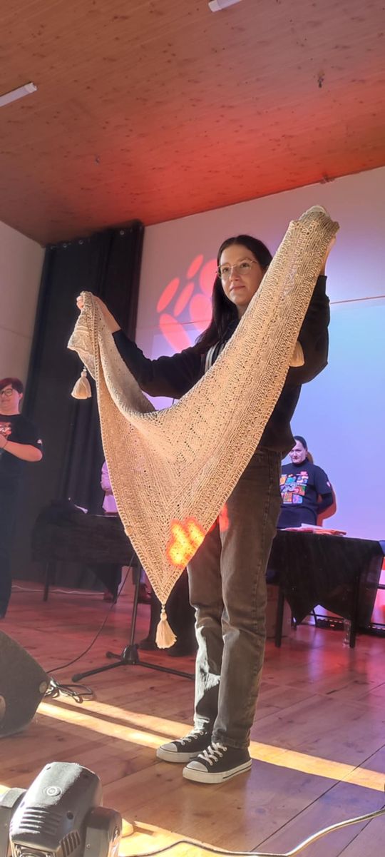 Chełm. W IV LO już zagrała Wielka Orkiestra Świątecznej Pomocy [GALERIA ZDJĘĆ]