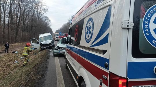 Łopiennik Nadrzeczny. Zderzenie busa z osobówką. 5 osób zabrano do szpitala. Ruch zablokowany [GALERIA ZDJĘĆ]