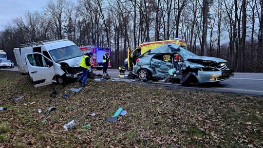 Łopiennik Nadrzeczny. Zderzenie busa z osobówką. 5 osób zabrano do szpitala. Ruch zablokowany [GALERIA ZDJĘĆ]