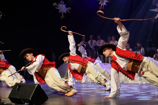 Chełm. Koncert kolęd i pastorałek pt. "Bracia patrzcie jeno" [GALERIA ZDJĘĆ]