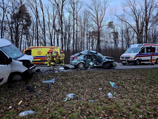 Łopiennik Nadrzeczny. Zderzenie busa z osobówką. 5 osób zabrano do szpitala. Ruch zablokowany [GALERIA ZDJĘĆ]