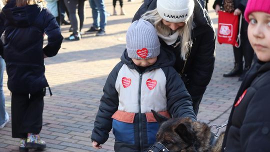 Chełm. 33. Finał Wielkiej Orkiestry Świątecznej Pomocy [GALERIA ZDJĘĆ]