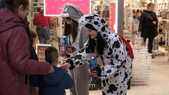 Chełm. 33. Finał Wielkiej Orkiestry Świątecznej Pomocy przed Galerią Chełm [ZDJĘCIA]