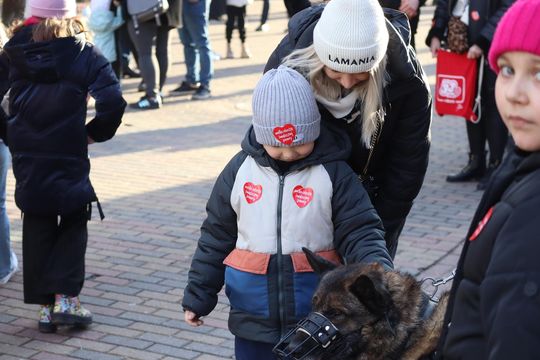 Chełm. 33. Finał Wielkiej Orkiestry Świątecznej Pomocy [GALERIA ZDJĘĆ]