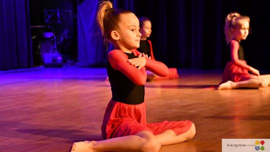 Wielka Orkiestra Świątecznej Pomocy zagrała w Krasnymstawie! [GALERIA ZDJĘĆ]