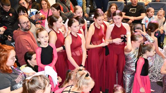 Wielka Orkiestra Świątecznej Pomocy zagrała w Krasnymstawie! [GALERIA ZDJĘĆ]