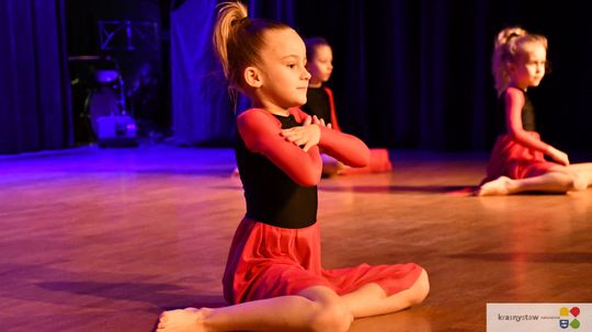 Wielka Orkiestra Świątecznej Pomocy zagrała w Krasnymstawie! [GALERIA ZDJĘĆ]