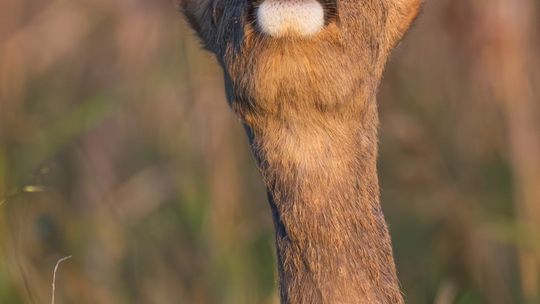Magiczne fotografie Mateusza Matysa