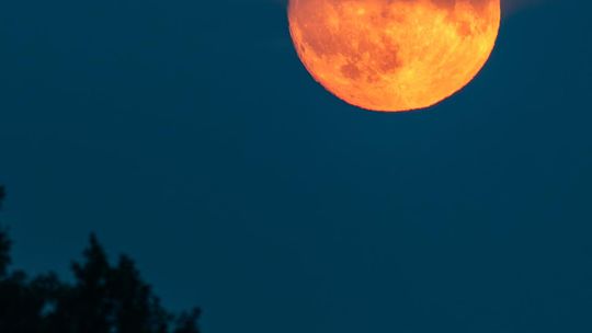 Magiczne fotografie Mateusza Matysa