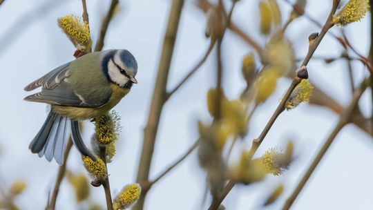 Magiczne fotografie Mateusza Matysa