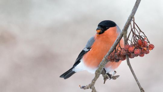Magiczne fotografie Mateusza Matysa