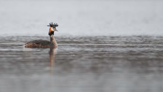 Magiczne fotografie Mateusza Matysa