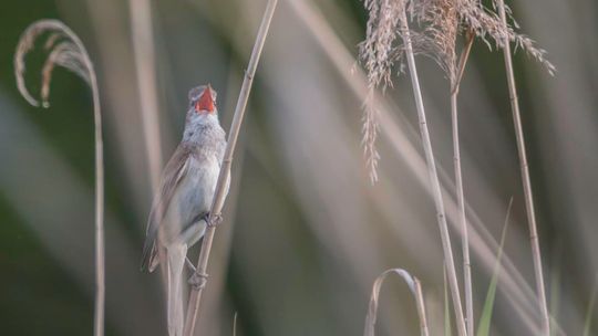 Magiczne fotografie Mateusza Matysa