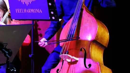 XII Gala Wolontariatu Caritas Archidiecezji Lubelskiej [ZDJĘCIA]