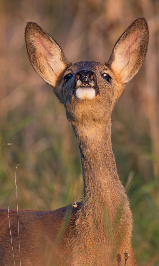 Magiczne fotografie Mateusza Matysa