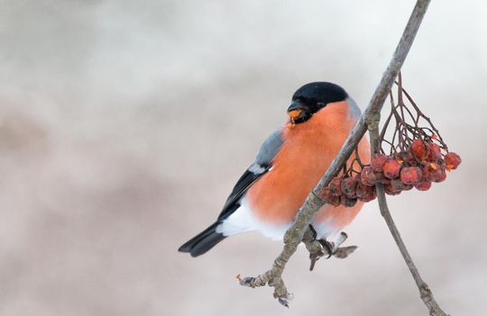Magiczne fotografie Mateusza Matysa