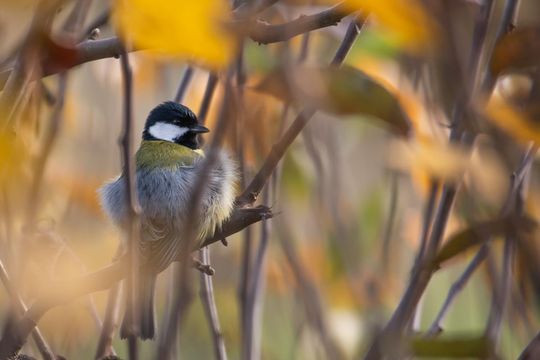 Magiczne fotografie Mateusza Matysa