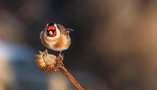 Magiczne fotografie Mateusza Matysa