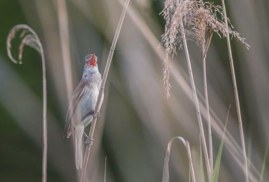 Magiczne fotografie Mateusza Matysa