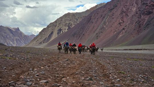 Marcin Dras zdobył Aconcaguę