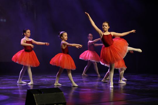 Chełm. Noworoczna Gala Baletowa – wyjątkowa podróż po świecie baletu w Chełmskim Domu Kultury [GALERIA ZDJĘĆ]