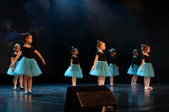 Chełm. Noworoczna Gala Baletowa – wyjątkowa podróż po świecie baletu w Chełmskim Domu Kultury [GALERIA ZDJĘĆ]