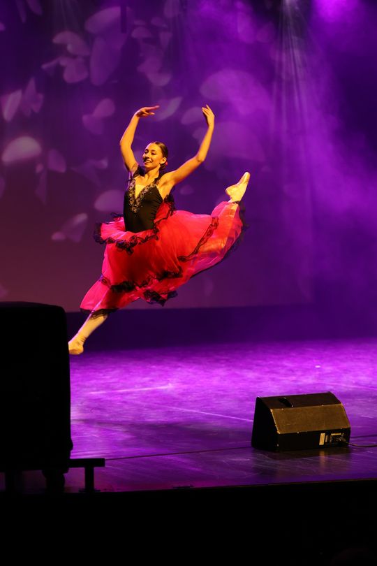 Chełm. Noworoczna Gala Baletowa – wyjątkowa podróż po świecie baletu w Chełmskim Domu Kultury [GALERIA ZDJĘĆ]