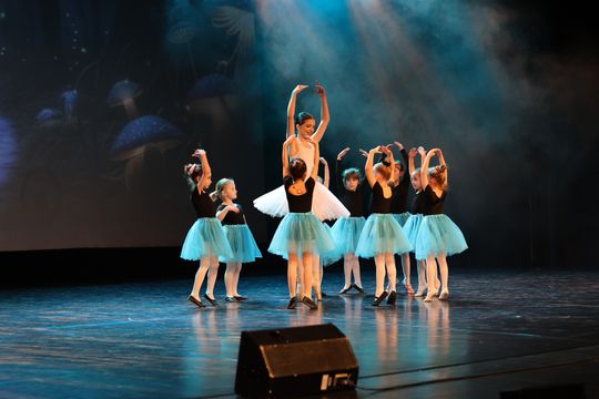 Chełm. Noworoczna Gala Baletowa – wyjątkowa podróż po świecie baletu w Chełmskim Domu Kultury [GALERIA ZDJĘĆ]