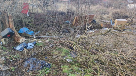 Chełm. Wielkie śmietnisko przy Karłowicza! Prezydent Banaszek zdegustowany... [ZDJĘCIA]