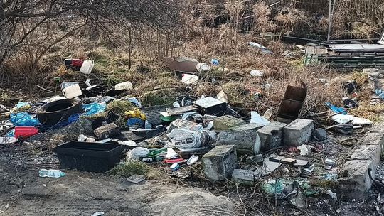 Chełm. Wielkie śmietnisko przy Karłowicza! Prezydent Banaszek zdegustowany... [ZDJĘCIA]