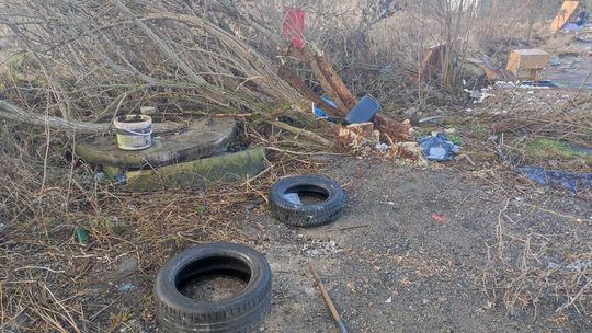 Chełm. Wielkie śmietnisko przy Karłowicza! Prezydent Banaszek zdegustowany... [ZDJĘCIA]