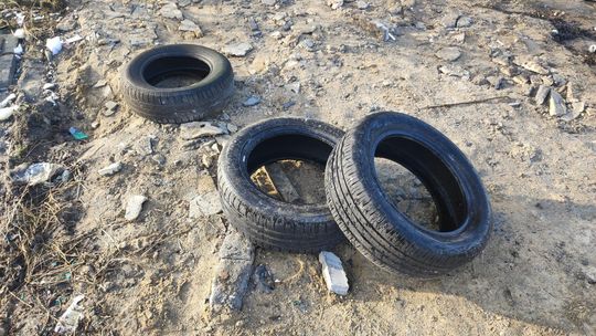 Chełm. Wielkie śmietnisko przy Karłowicza! Prezydent Banaszek zdegustowany... [ZDJĘCIA]