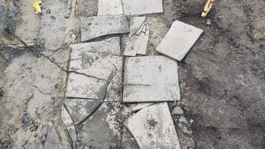 Chełm. Wielkie śmietnisko przy Karłowicza! Prezydent Banaszek zdegustowany... [ZDJĘCIA]