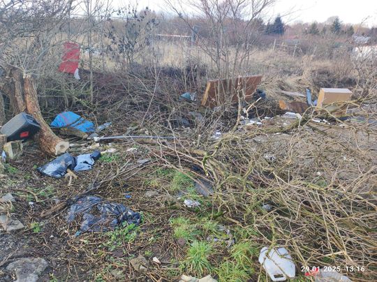 Chełm. Wielkie śmietnisko przy Karłowicza! Prezydent Banaszek zdegustowany... [ZDJĘCIA]